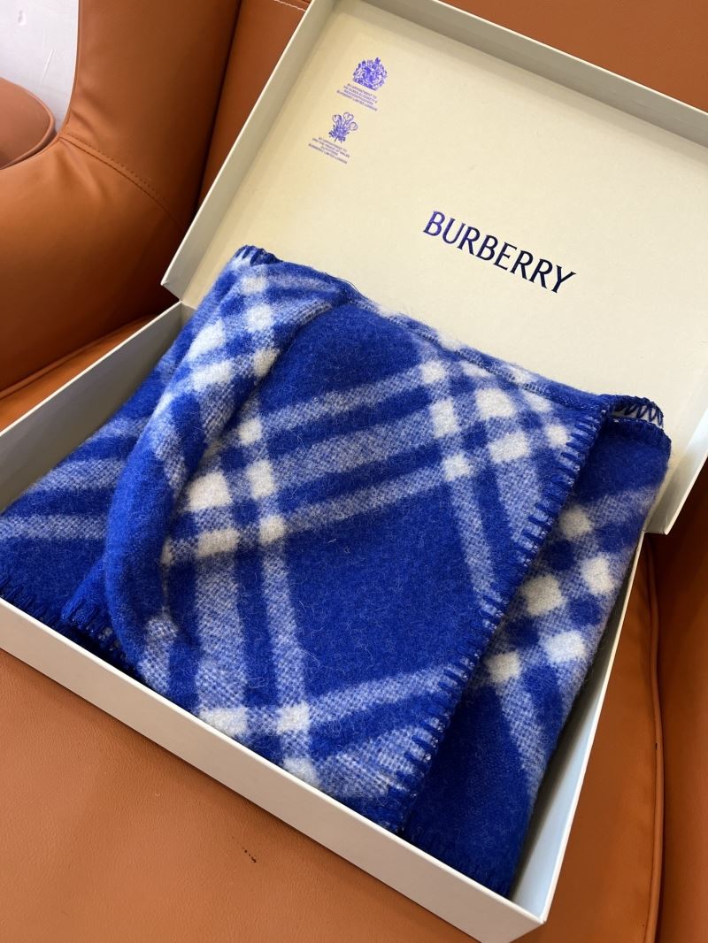 Burberry Caps Scarfs